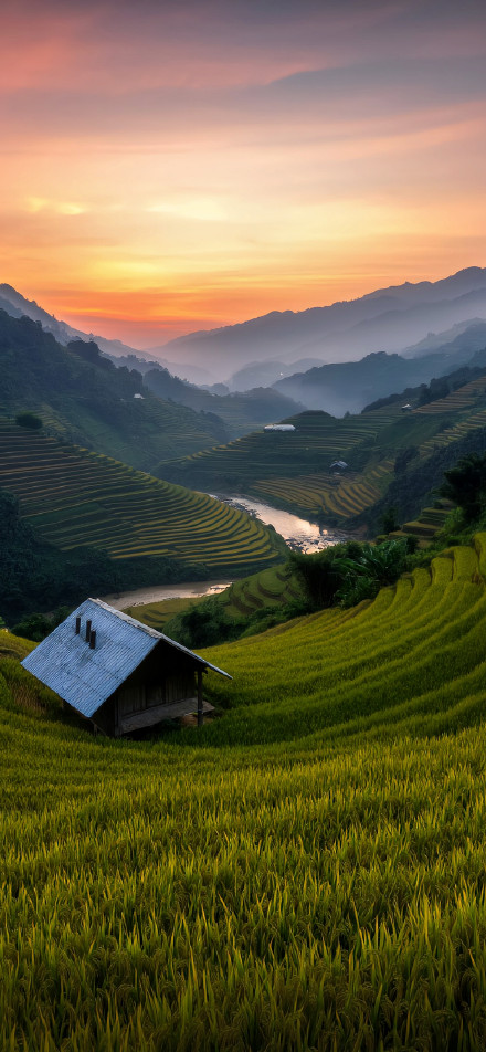 Tranquil terraced healing landscape at sunset phone wallpaper