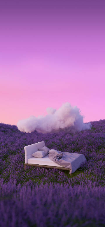 White Bed In A Purple Lavender Field At Sunset Wallpaper