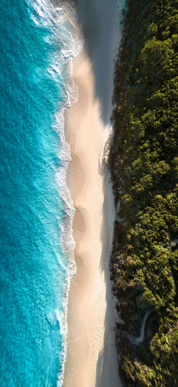 Coastal scenery wallpaper: sea water, beach and green forest