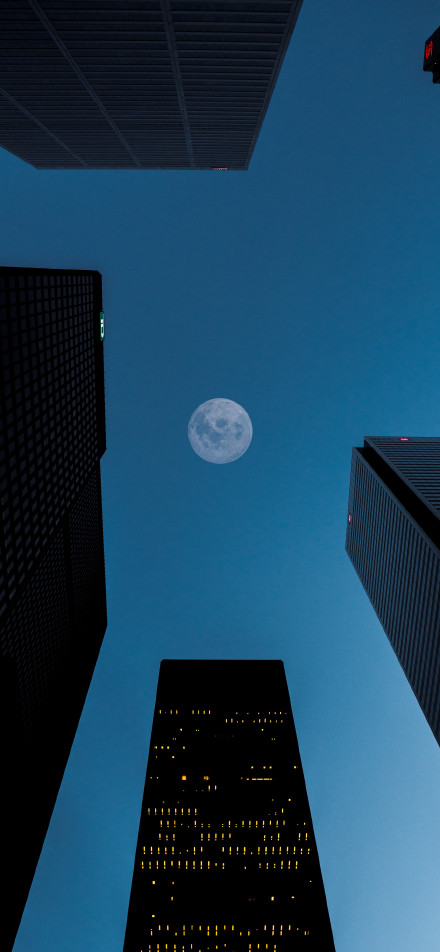 Skyscrapers in moonlight phone wallpaper