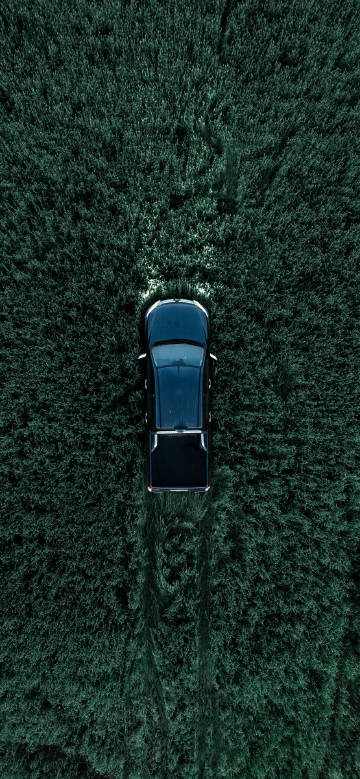 A black pickup truck is driving in a vast green field