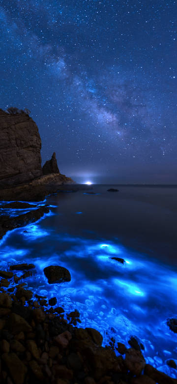 Blue fluorescent sea water under the starry sky phone wallpaper