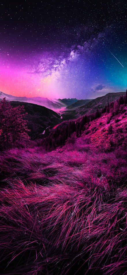 Colorful valleys and vegetation under a dreamy starry sky