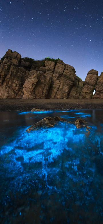Blue fluorescence under the starry sky flickers in the sea water