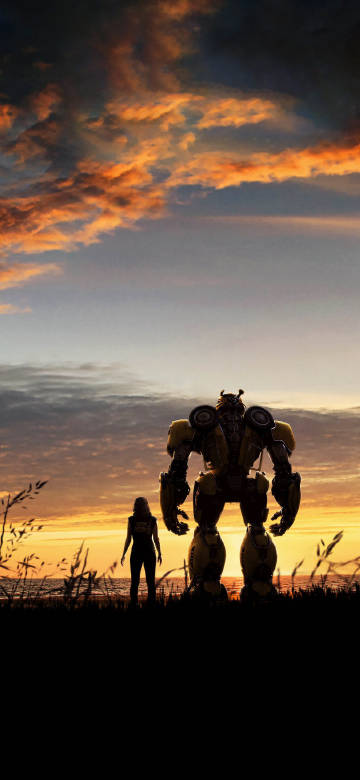 Bumblebee and Human: Companionship at Sunset