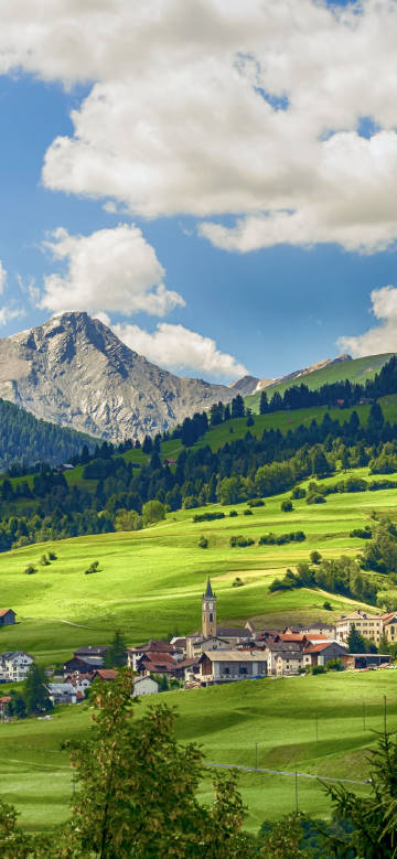 Village on green hillside phone wallpaper