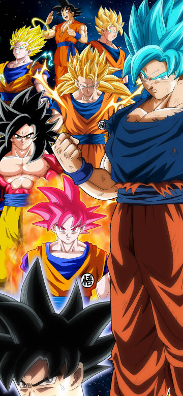 dragonball wallpaper:super saiyans gathering