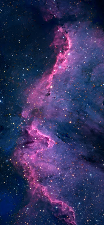 Latest Wallpaper 1