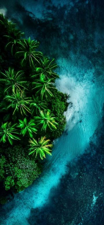 Tropical island covered with lush palm trees phone wallpaper