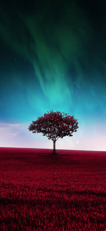 Lonely tree under the fantasy starry sky
