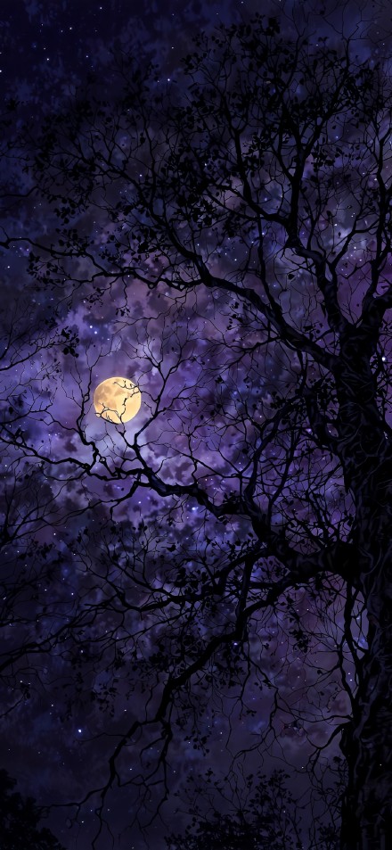 Full Moon Through Dark Branches Purple Night Sky
