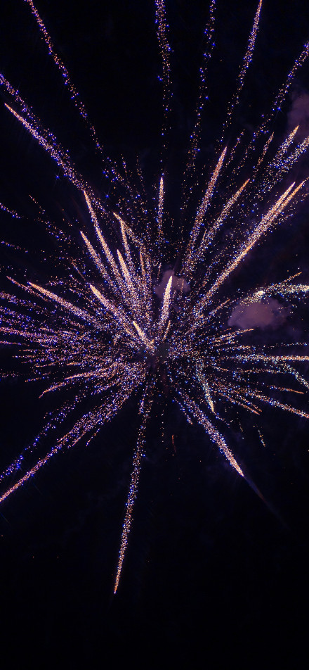 Gorgeous fireworks blooming phone wallpaper