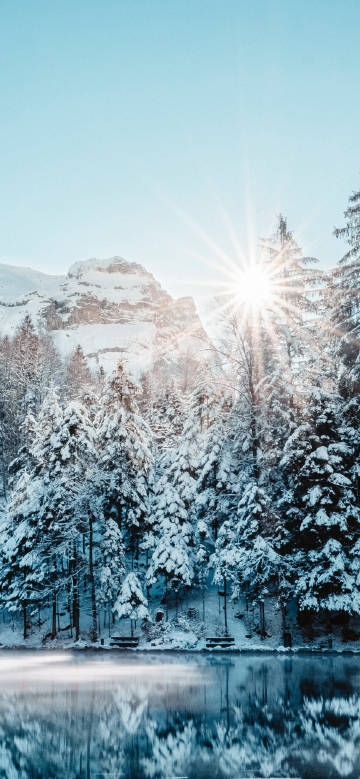 Forest, snow-capped mountains, morning sun, lake
