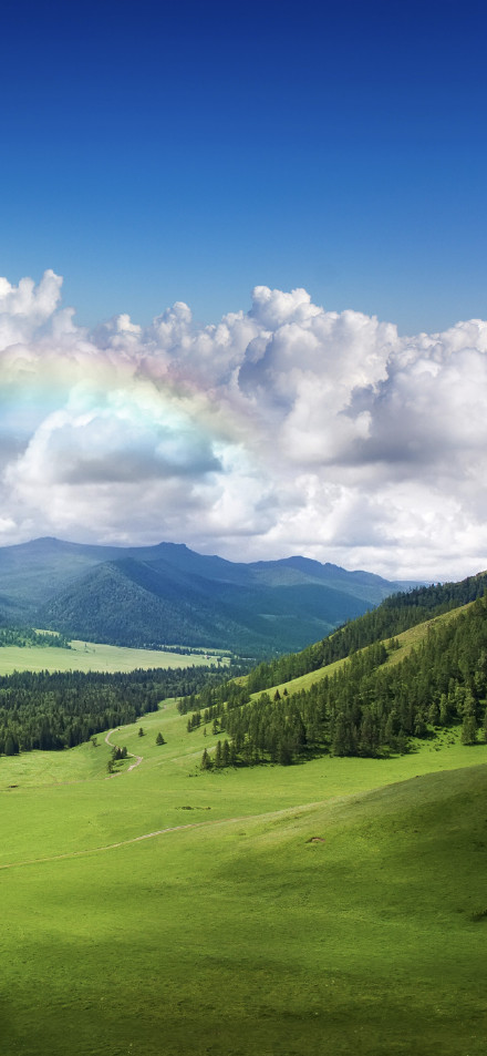 Green field rainbow scenery phone wallpaper