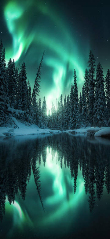 Spectacular aurora and forest reflected in the lake