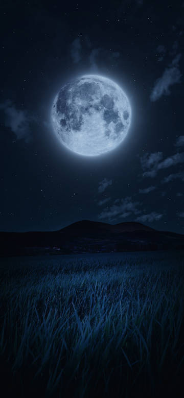 Moonlit night starry sky landscape wallpaper: full moon, starry sky and wild grass