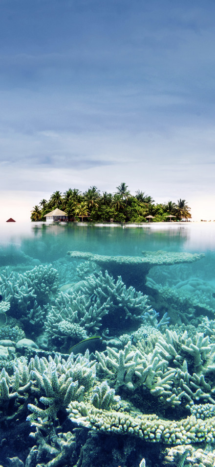 Island scenery wallpaper: beautiful island and underwater coral