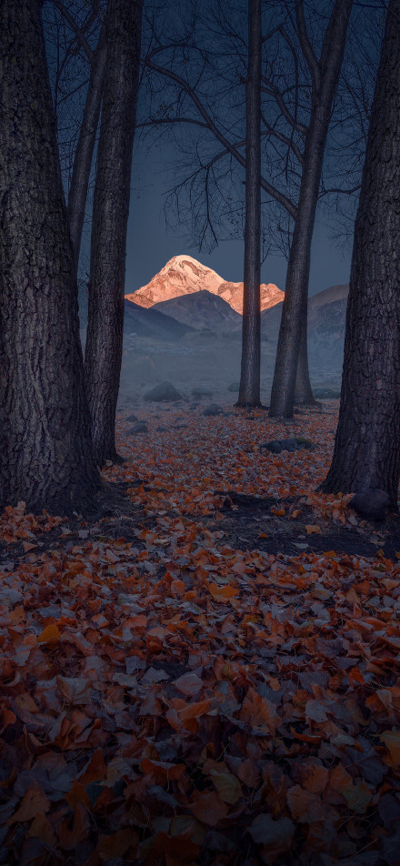 Snow-capped mountains sparkle in the sunset phone wallpaper