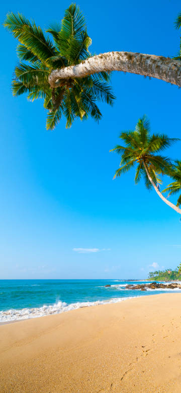 Beautiful Blue Sea and Beach Wallpaper