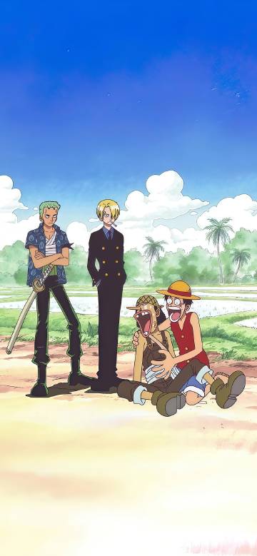 Members of the Straw Hat Pirates in One Piece