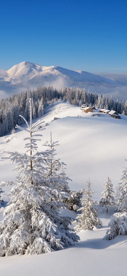 Winter snowy mountain landscape wallpaper
