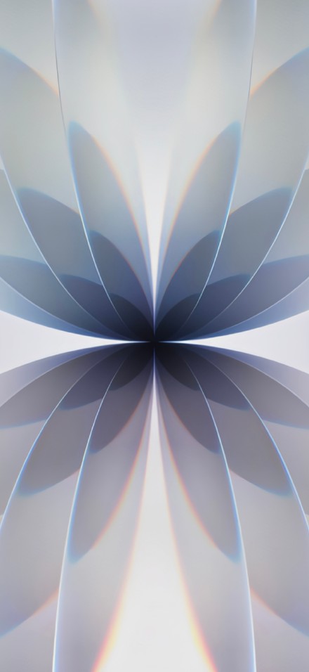 iPhone 17 Kaleidoscope Floral Pattern Wallpaper