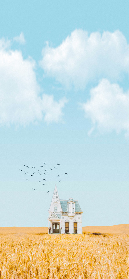 A white house stands in the golden wheat field phone wallpaper
