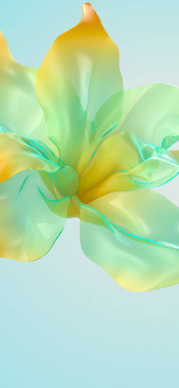 Fresh transparent orange green petal flowers phone wallpaper