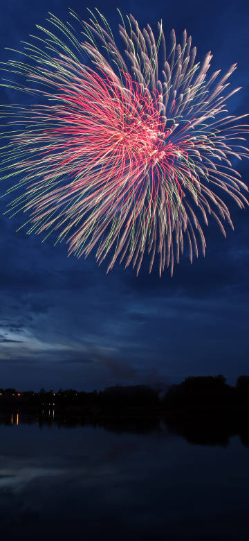 Colorful fireworks blooming under the deep blue night sky phone wallpaper