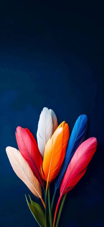 Colorful Feather Art Deep Blue Background Wallpaper