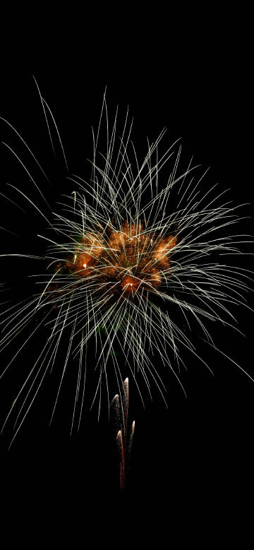 The moment when fireworks bloom phone wallpaper