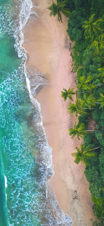 Tropical beach scenery from aerial view phone wallpaper