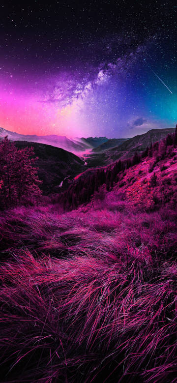 Colorful valleys and vegetation under a dreamy starry sky