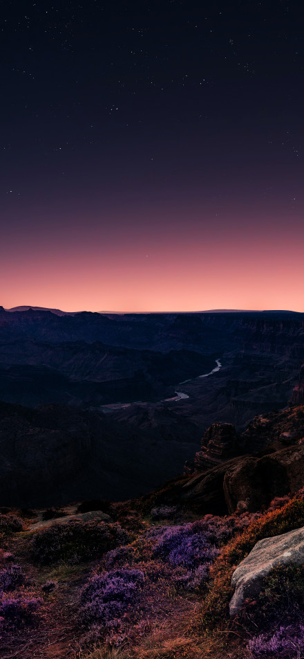 Canyon starry night view phone wallpaper