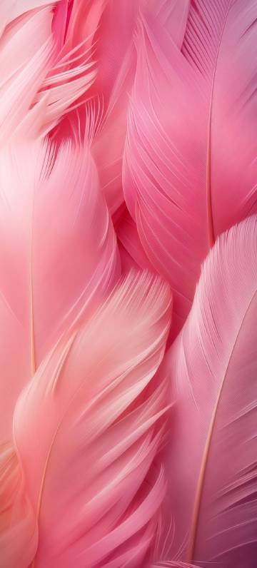 Delicate soft pink feathers phone wallpaper