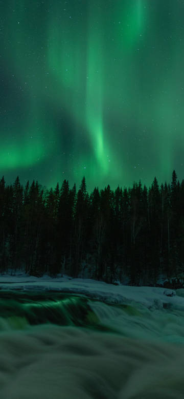 Northern Lights Dancing In A Starry Night Sky