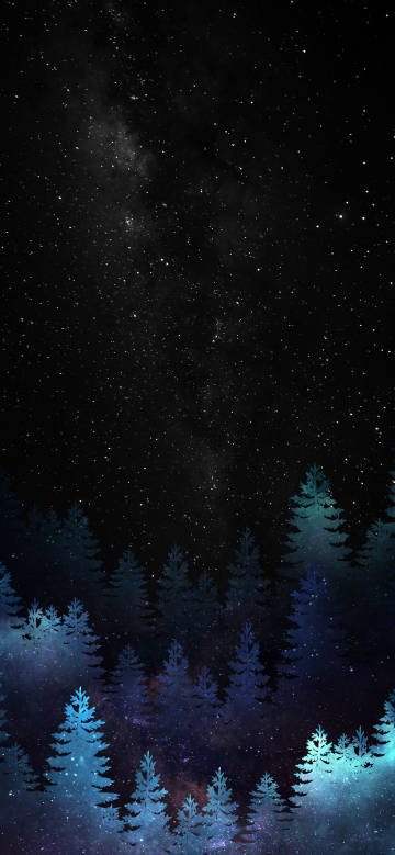 dark,night,starry sky,forest