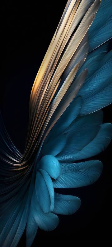 Beautiful blue-gold feathers on a black background wallpaper Beautiful blue-gold feathers on a black background wallpaper