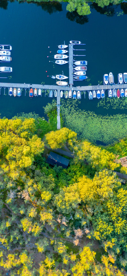 Dock amidst golden woods phone wallpaper