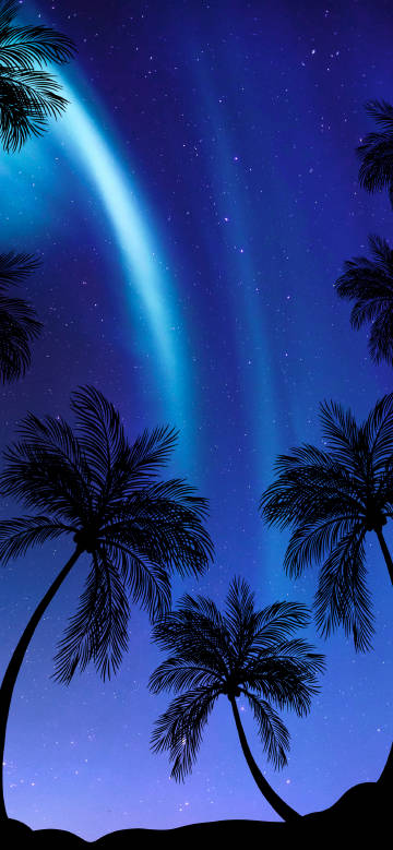 Palm trees under blue starry sky phone wallpaper
