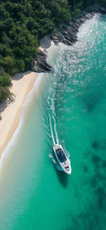 Aerial view wallpaper: clear blue-green sea, beach, lush forest