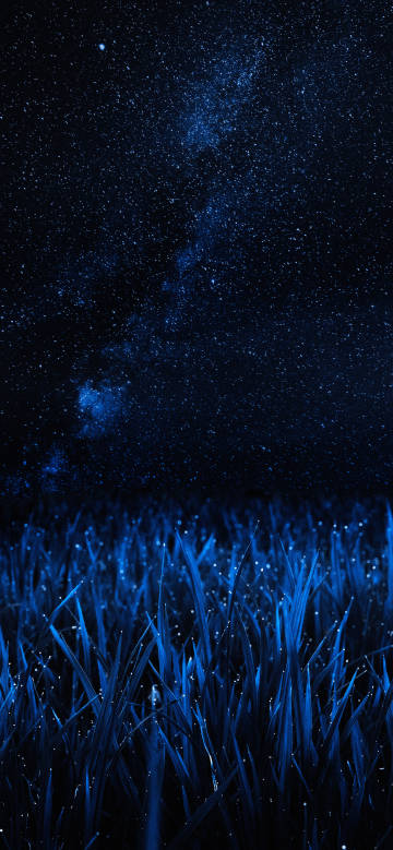 Dreamy blue tones of grass under a starry sky phone wallpaper