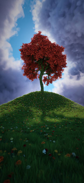 Red Leaf Tree On Hill 4K Phone Wallpaper
