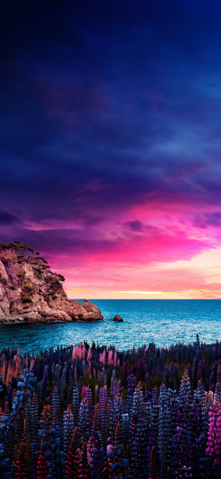 Pink and purple sunset by the seaside phone wallpaper