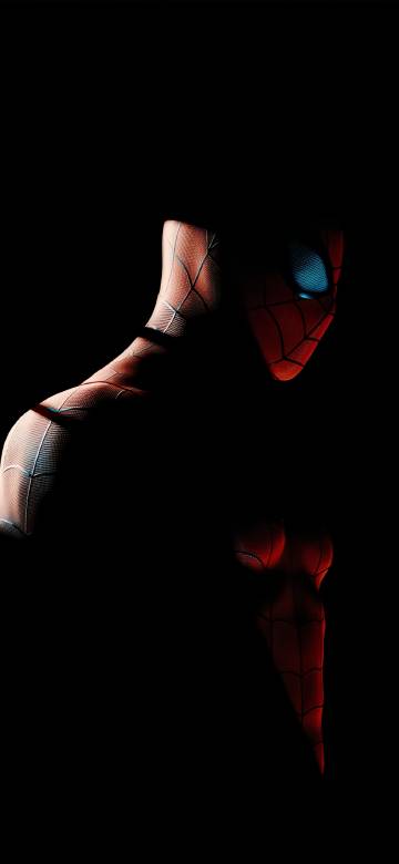 Spider-Man Against a Black Background 4K Wallpaper