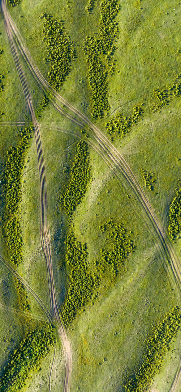 Overlooking the ruts on the green plain phone wallpaper