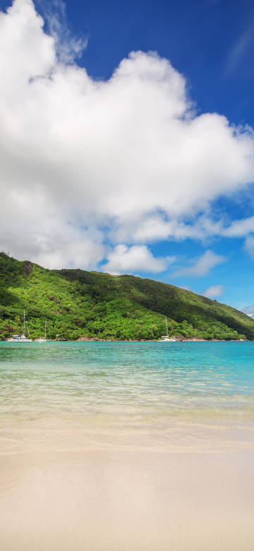 Stunning tropical beach wallpaper: clear water and lush mountains