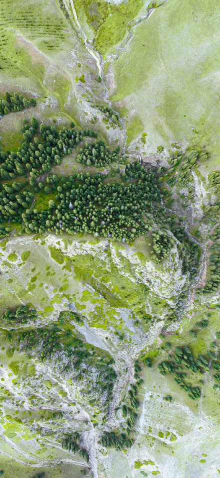 Meandering stream through green fields and forests phone wallpaper