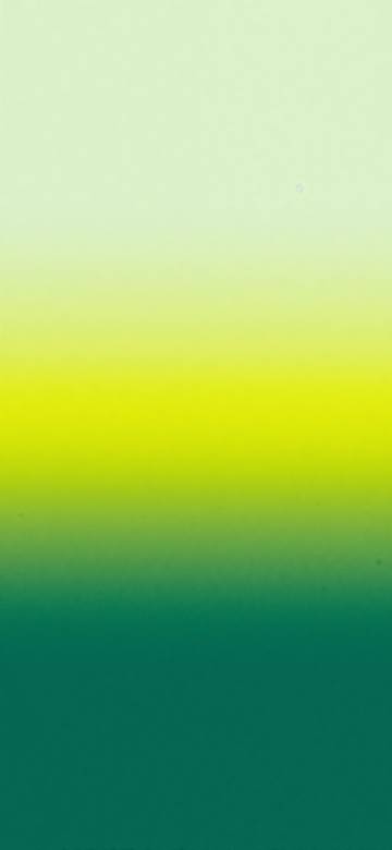 Fresh green gradient phone wallpaper
