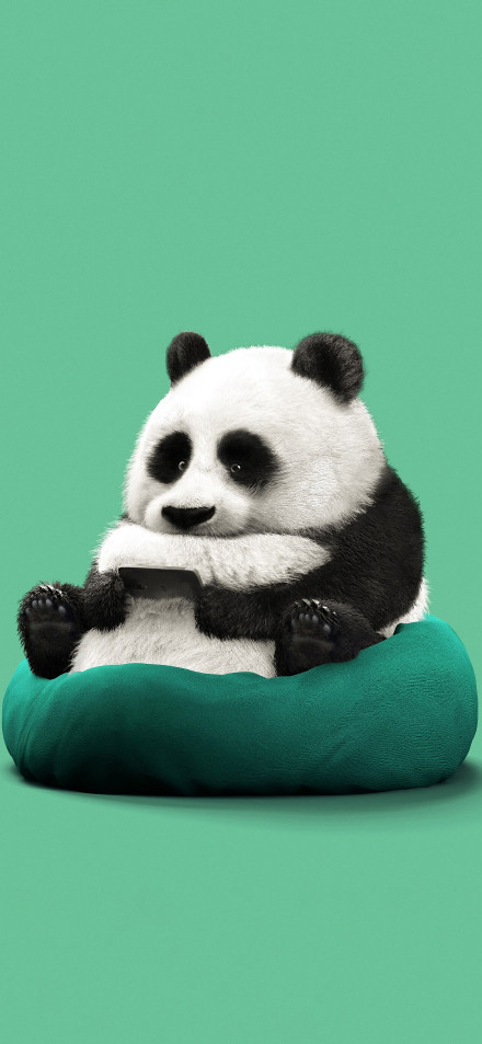 Cute Fluffy Panda Holding A Phone On A Green Cushion 4K Wallpaper